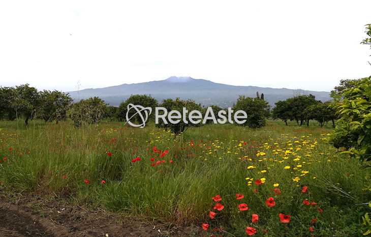 Terreno - In evidenza su Aste tra privati