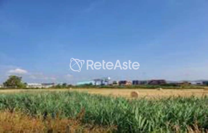 Terreno agricolo - In evidenza su Aste tra privati