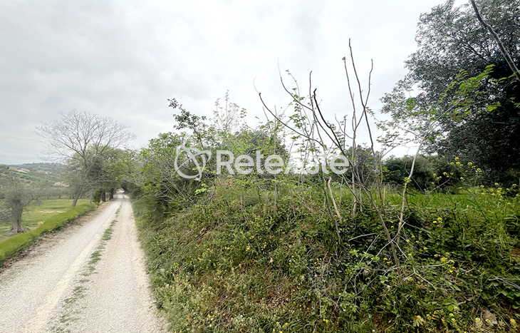 Terreno - In evidenza su Aste tra privati