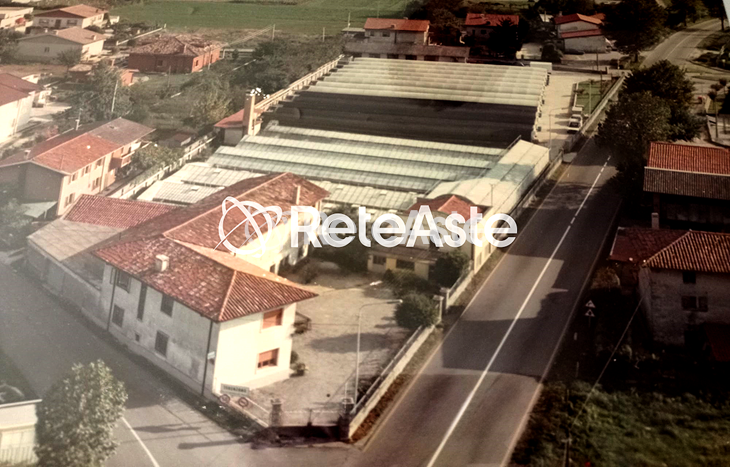 Azienda di floricoltura - In evidenza su Aste tra privati