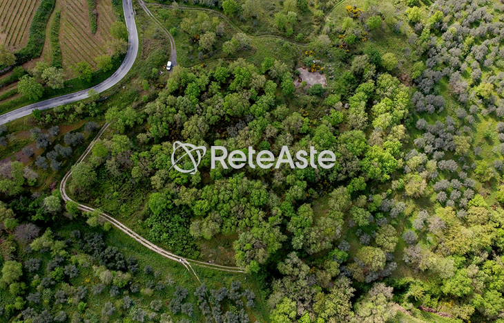 Terreno - In evidenza su Aste tra privati