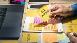 Valorizzazione e promozione mirata - Aste tra privati